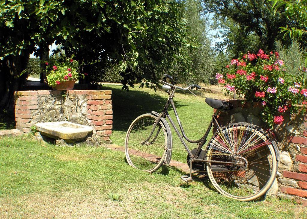 Agriturismo Il Sole Verde Bucine Exterior photo