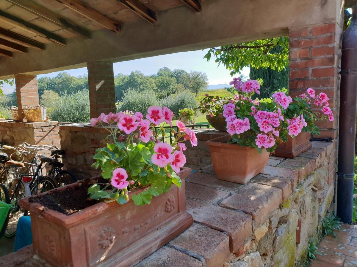 Agriturismo Il Sole Verde Bucine Exterior photo